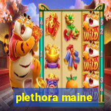 plethora maine