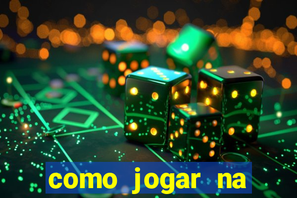 como jogar na seninha online