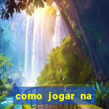 como jogar na seninha online