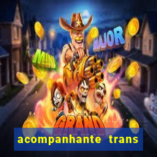 acompanhante trans em santos