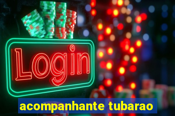 acompanhante tubarao