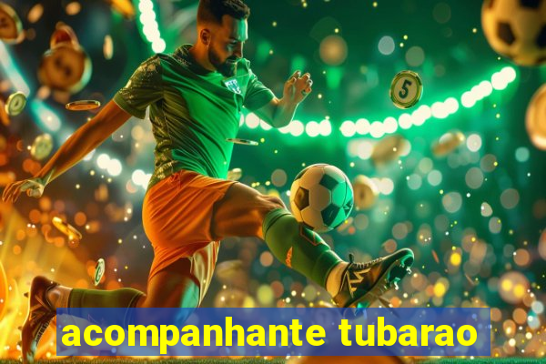 acompanhante tubarao