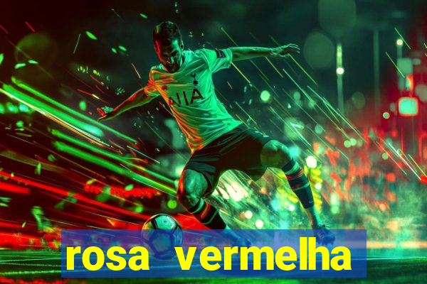 rosa vermelha (letra e cifra)