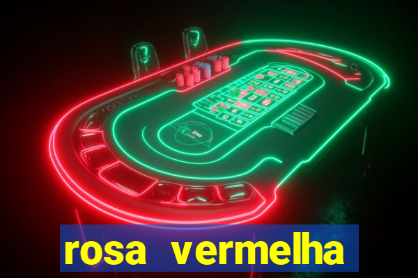 rosa vermelha (letra e cifra)