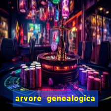 arvore genealogica dos gracie