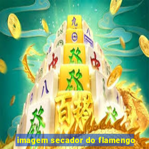 imagem secador do flamengo