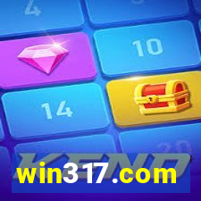 win317.com