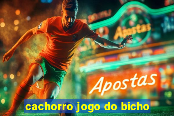 cachorro jogo do bicho