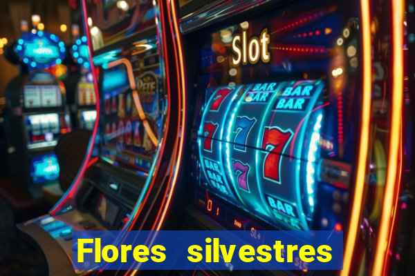 Flores silvestres brasileiras 25