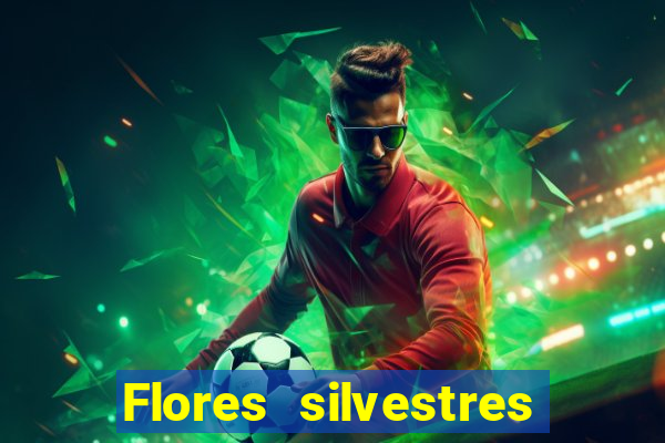 Flores silvestres brasileiras 25