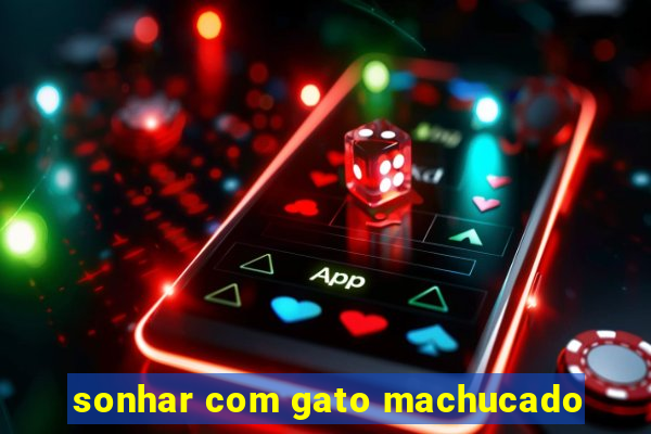 sonhar com gato machucado