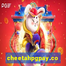 cheetahpgpay.com