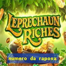 numero da raposa jogo do bicho