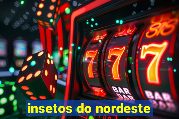 insetos do nordeste