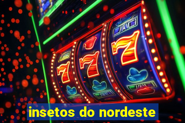 insetos do nordeste