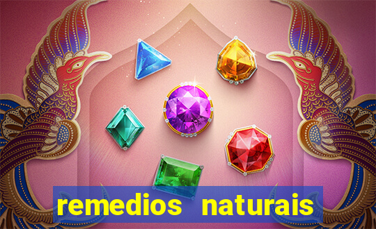 remedios naturais para diabetes