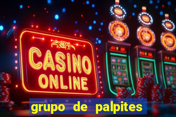 grupo de palpites de futebol whatsapp