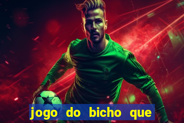 jogo do bicho que paga no pix