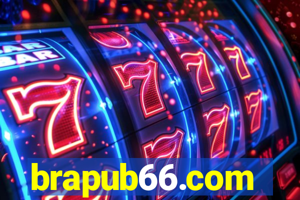 brapub66.com