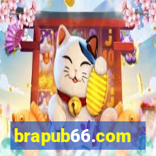 brapub66.com