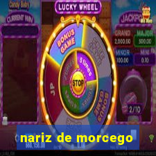 nariz de morcego