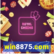 win8875.com