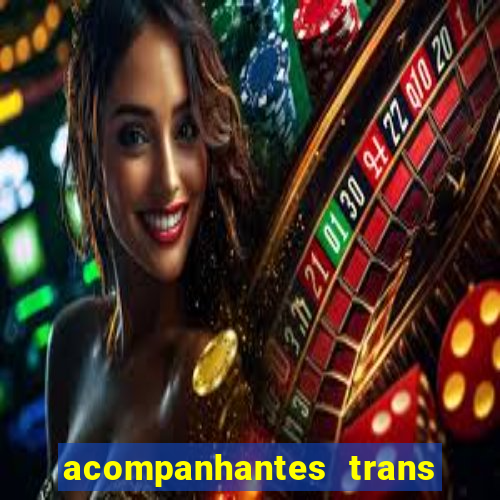 acompanhantes trans porto seguro