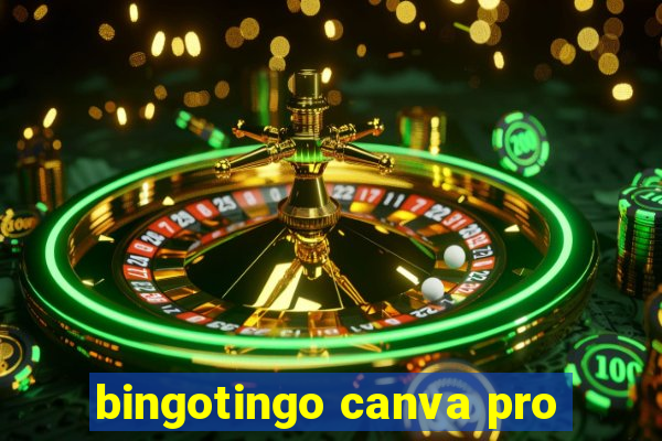 bingotingo canva pro