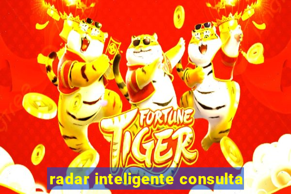 radar inteligente consulta