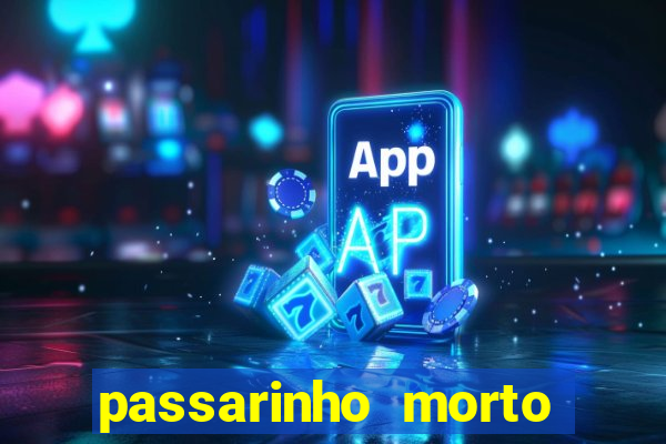 passarinho morto significado espiritual