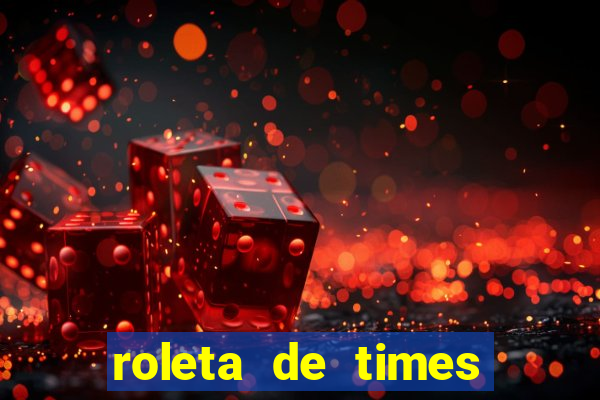 roleta de times brasileiros serie a 2024