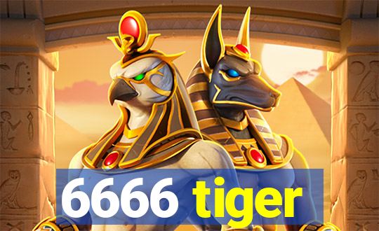 6666 tiger