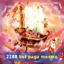 2288 bet paga mesmo