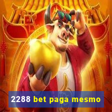 2288 bet paga mesmo