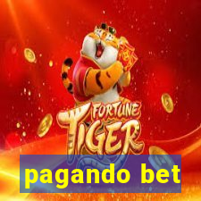 pagando bet