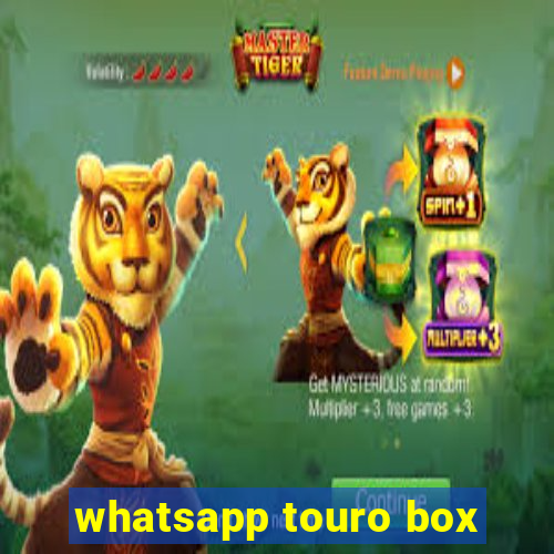 whatsapp touro box