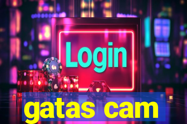 gatas cam