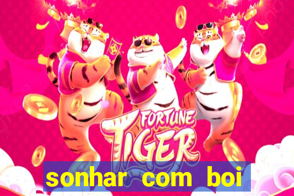 sonhar com boi branco jogo do bicho