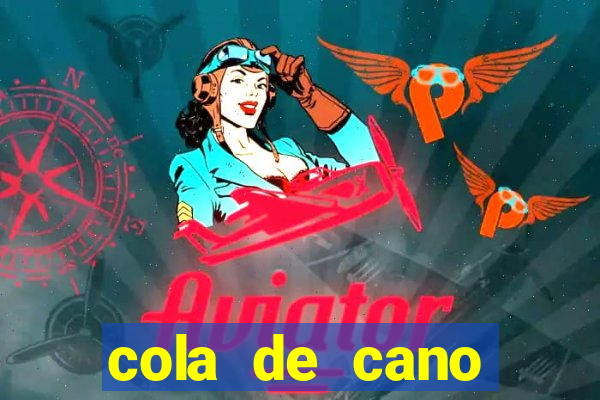 cola de cano quanto tempo para secar