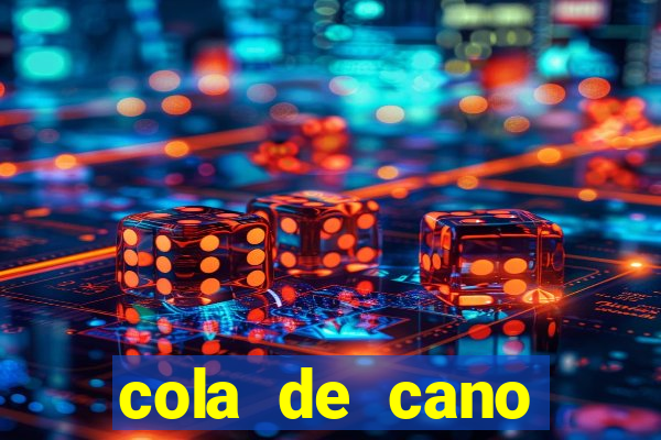 cola de cano quanto tempo para secar