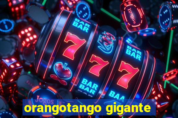 orangotango gigante