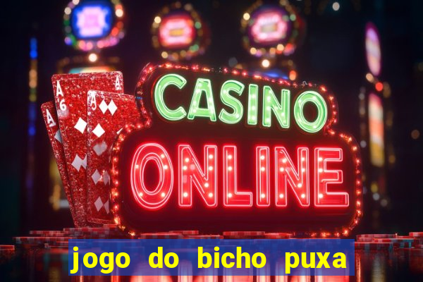 jogo do bicho puxa de dona maria