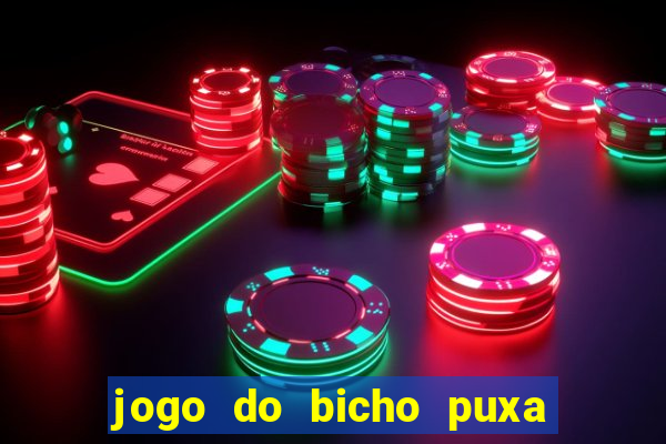 jogo do bicho puxa de dona maria