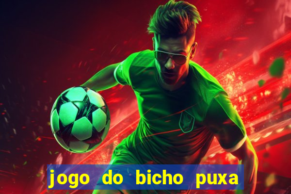 jogo do bicho puxa de dona maria