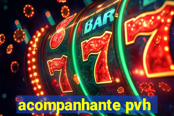 acompanhante pvh