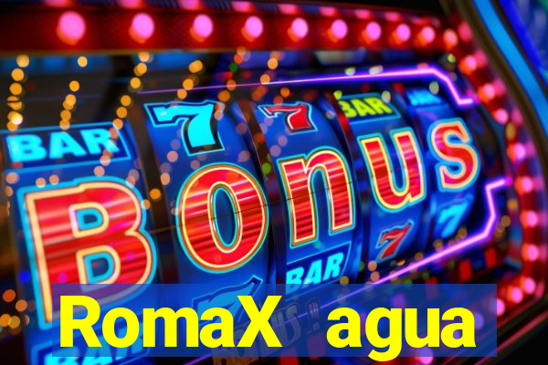 RomaX agua sanitaria fispq agua sanitaria romax