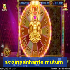 acompanhante mutum