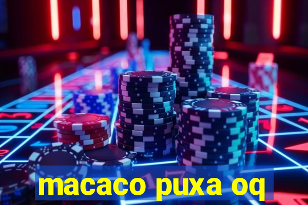 macaco puxa oq