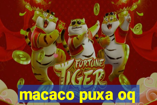 macaco puxa oq