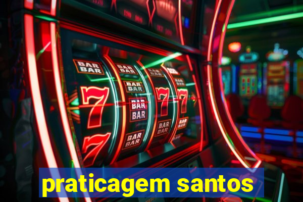 praticagem santos